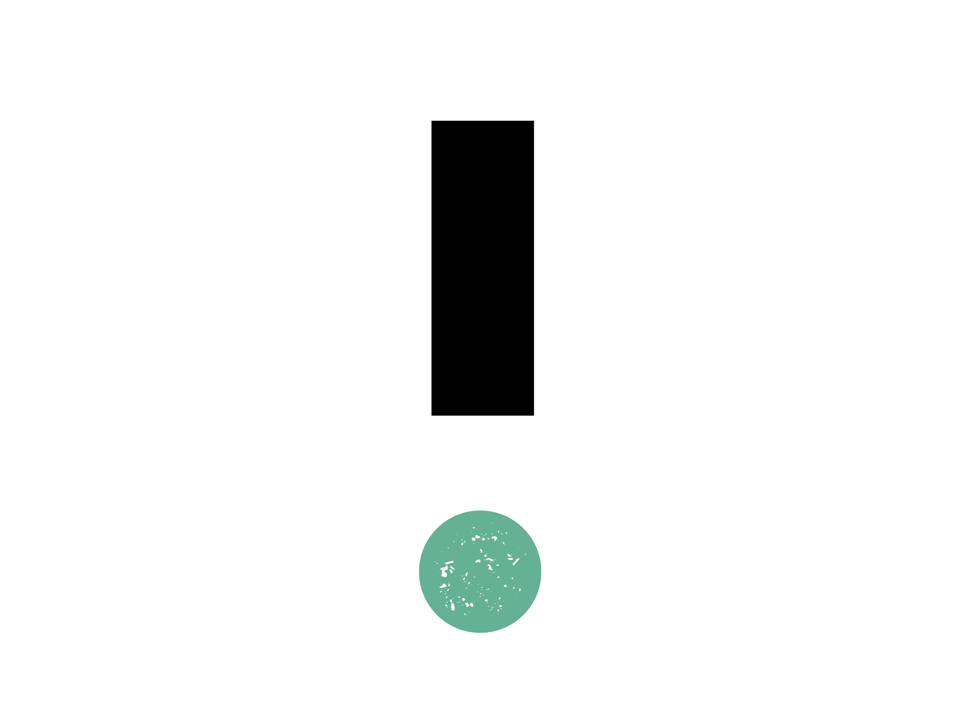 Kies_AG_icon