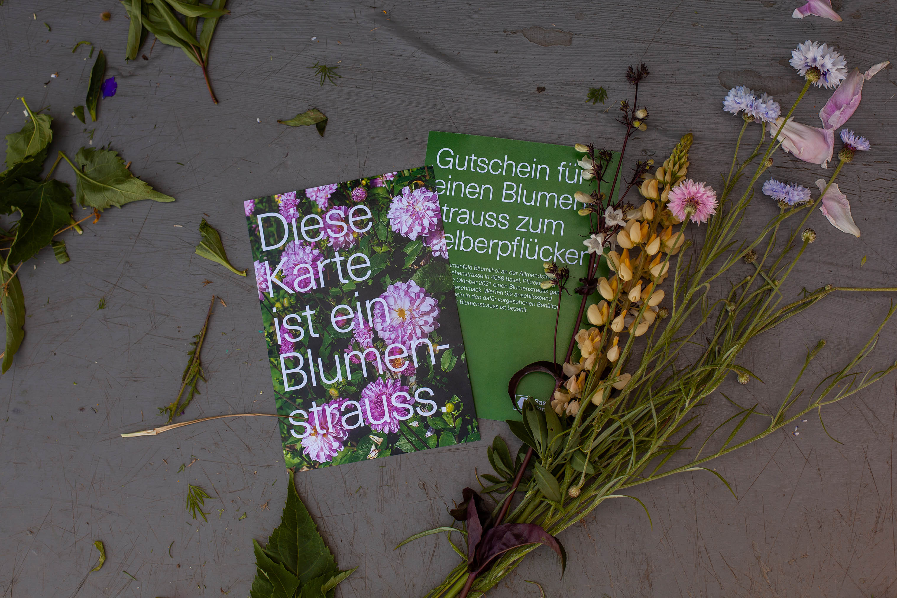 MUM_BKB_Blumenfeld_05