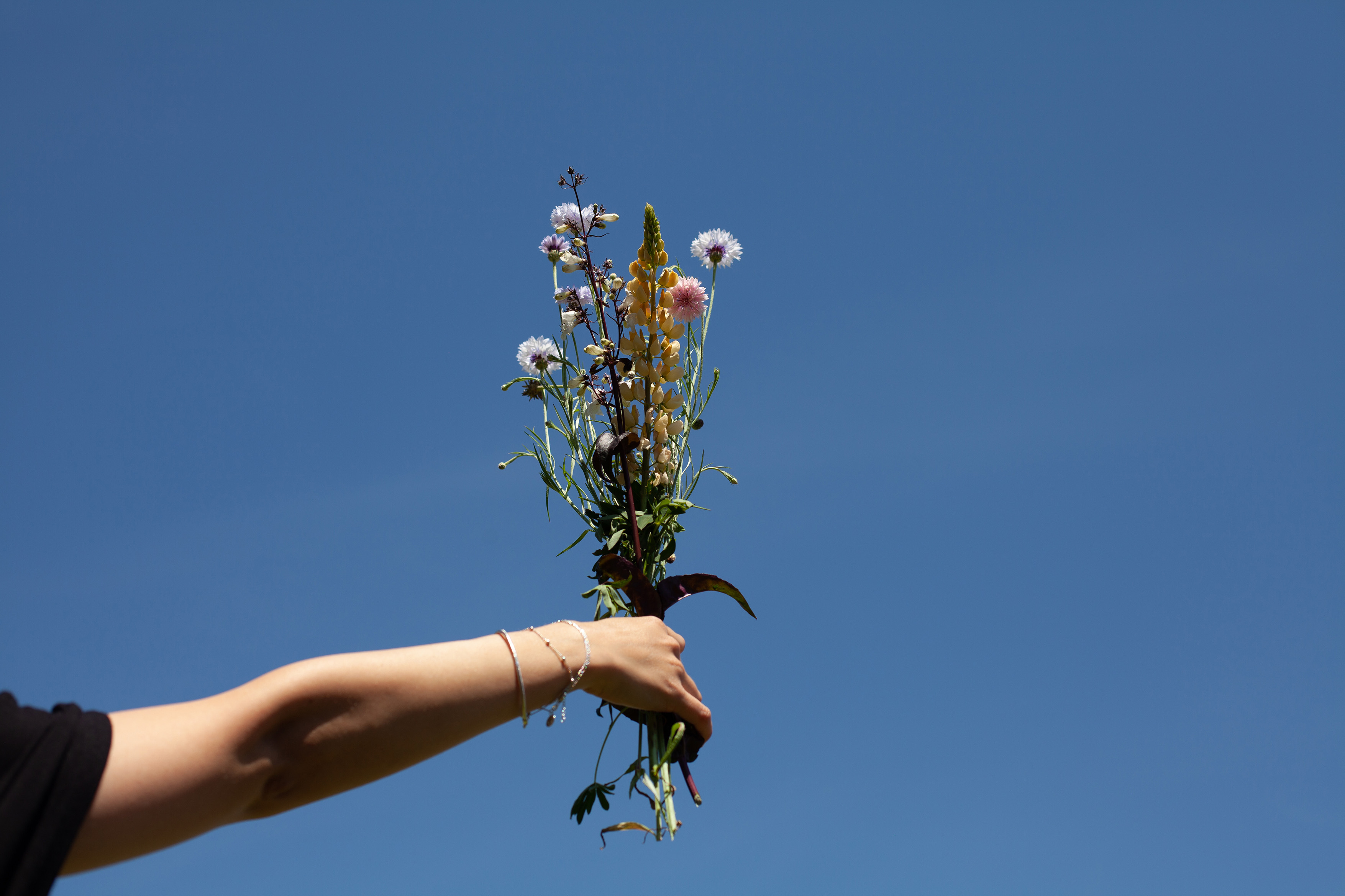 MUM_BKB_Blumenfeld_06