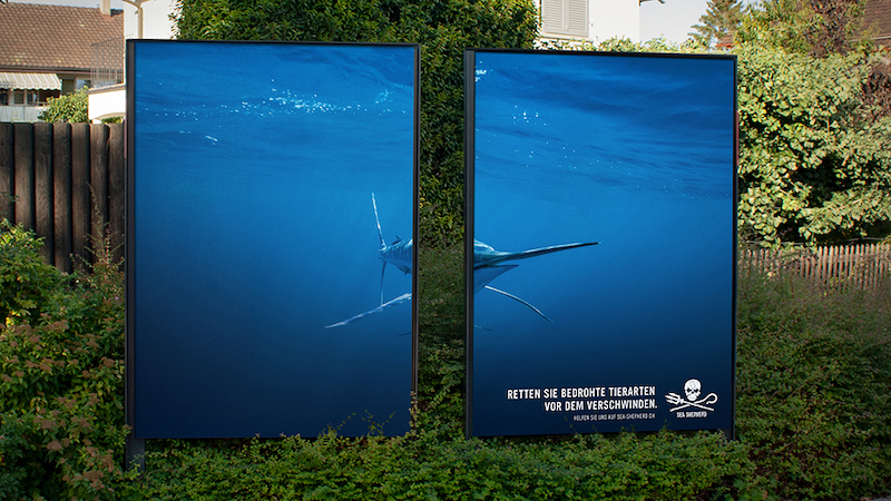Seashepherd_4_low