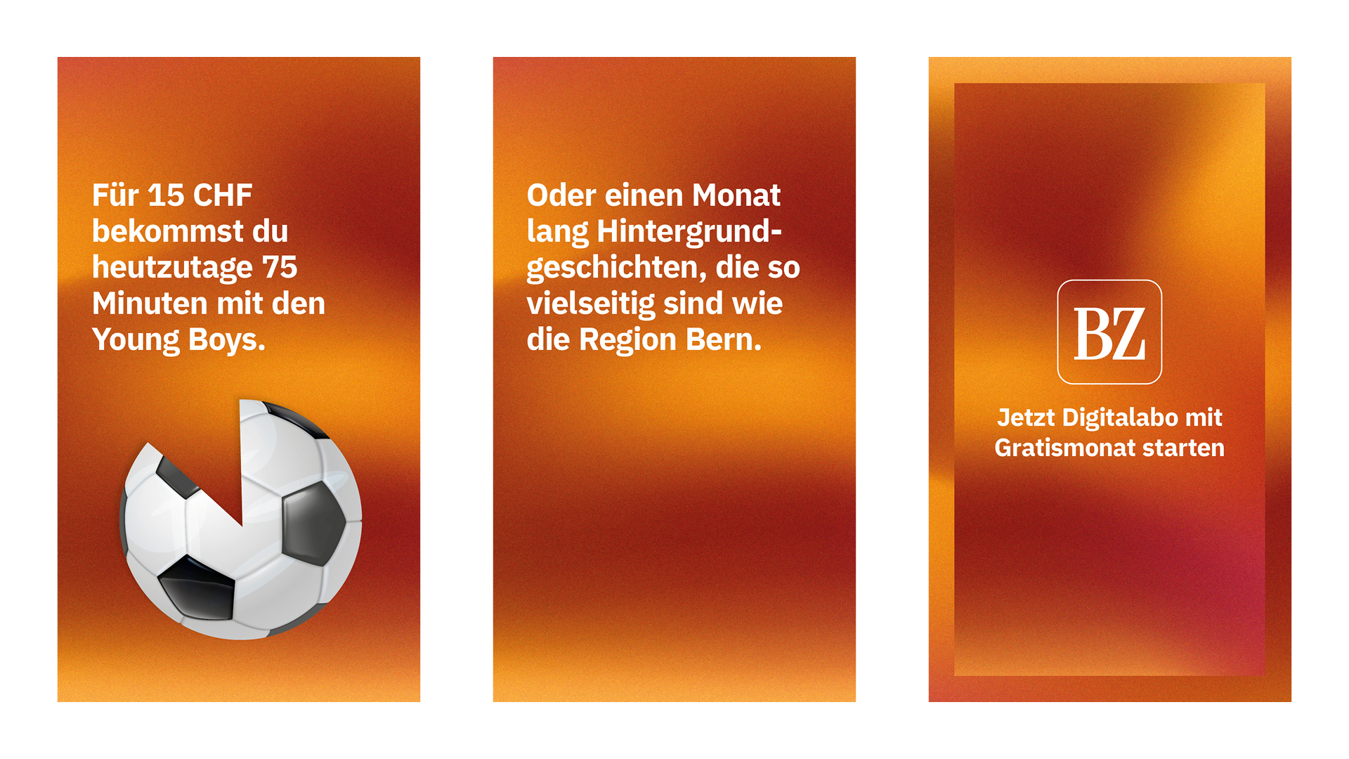 Tamedia_Digitalabo_Kampagne_Bsp_BZ