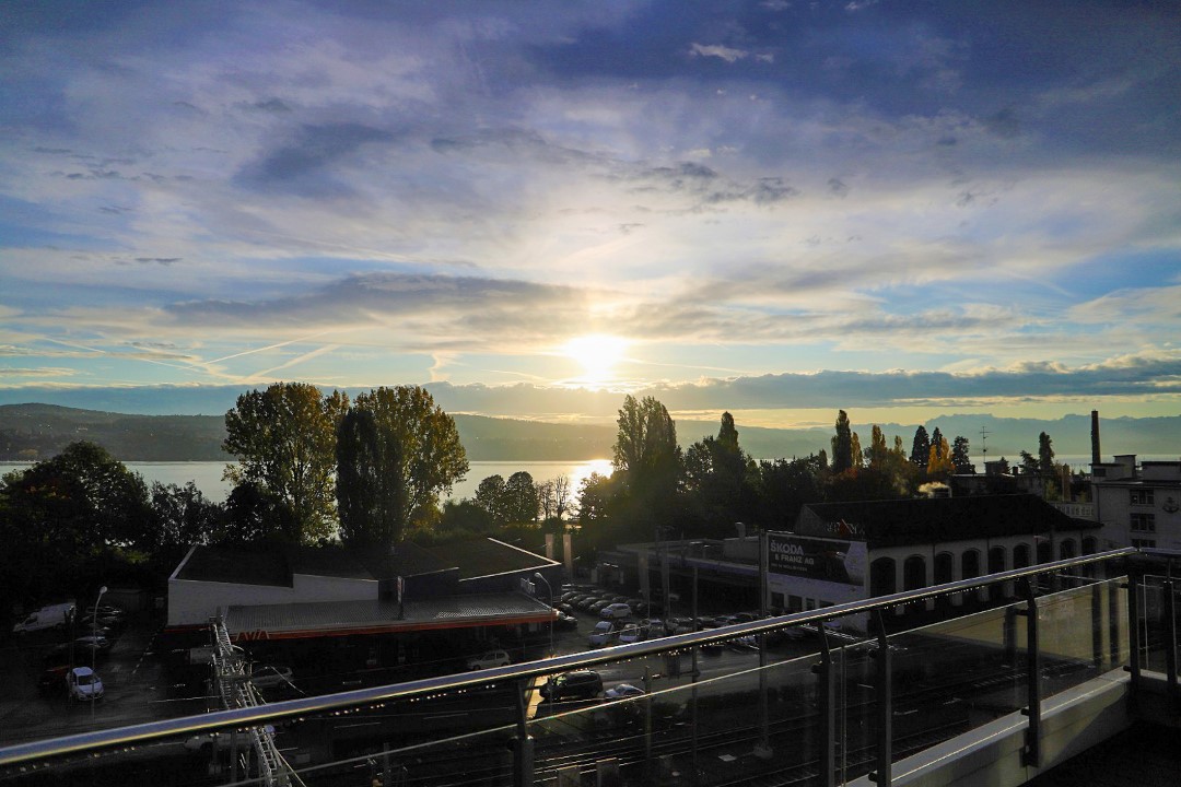 Westhive_Wollishofen_01