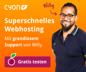 Willy-300x250px