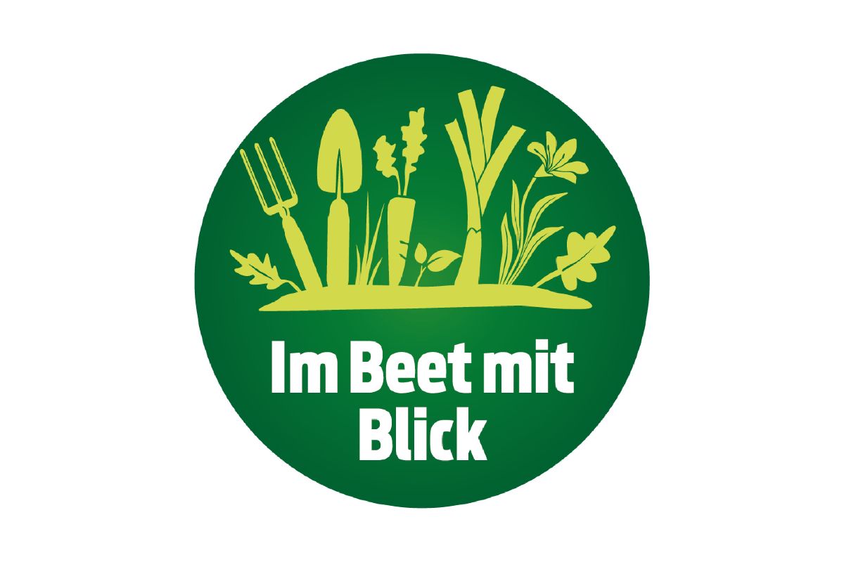 beet