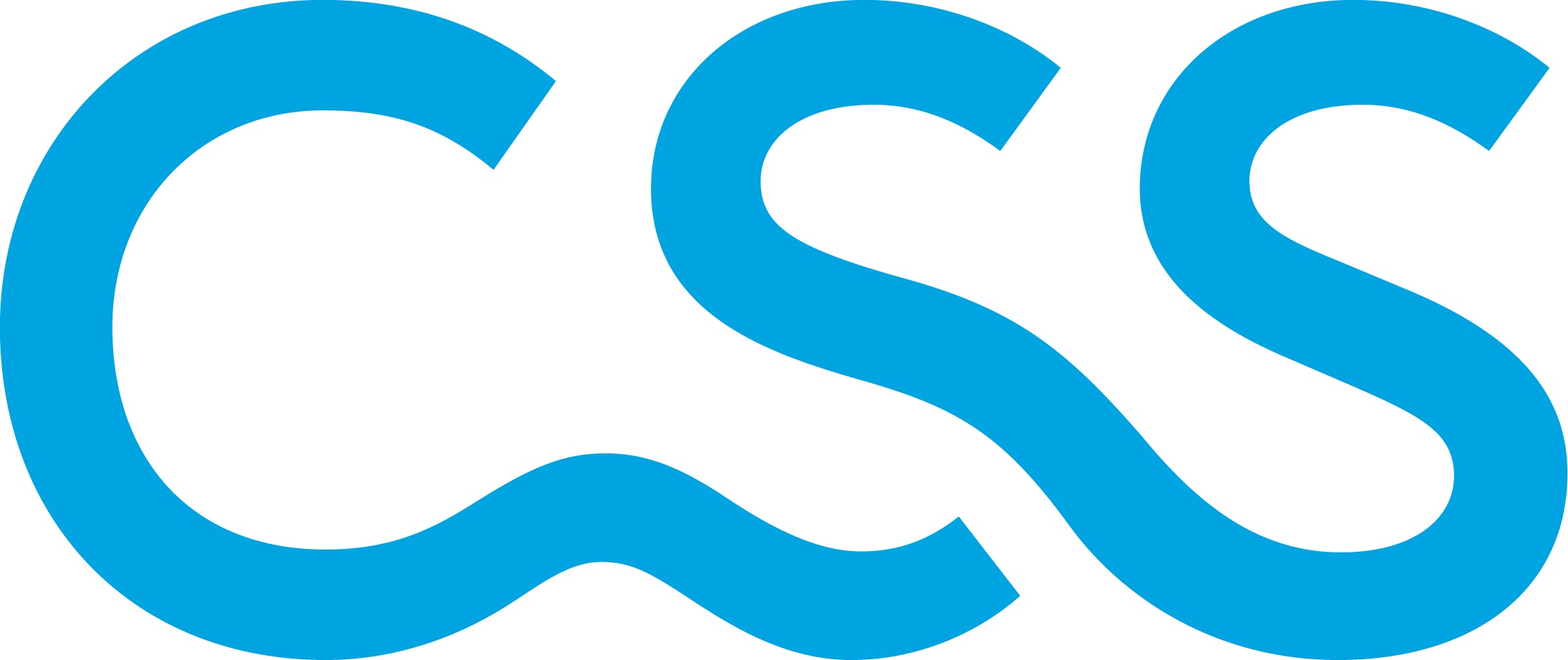 css-logo