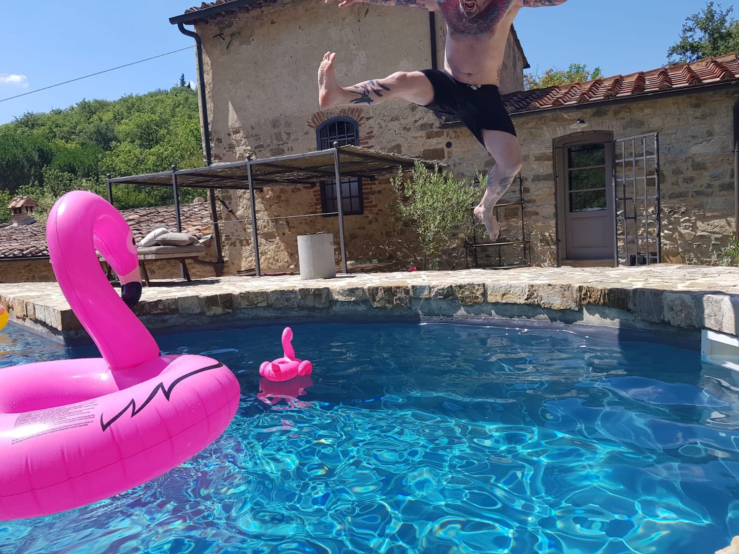 flamingo