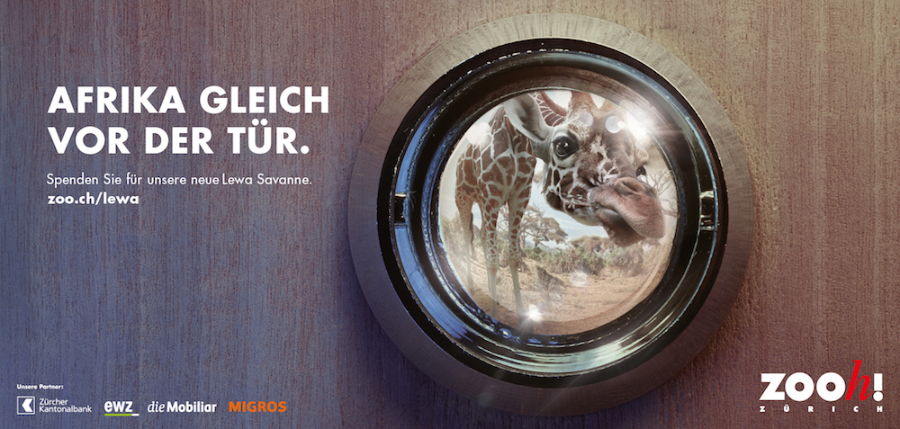 fr_lewa_visual_quer_giraffe