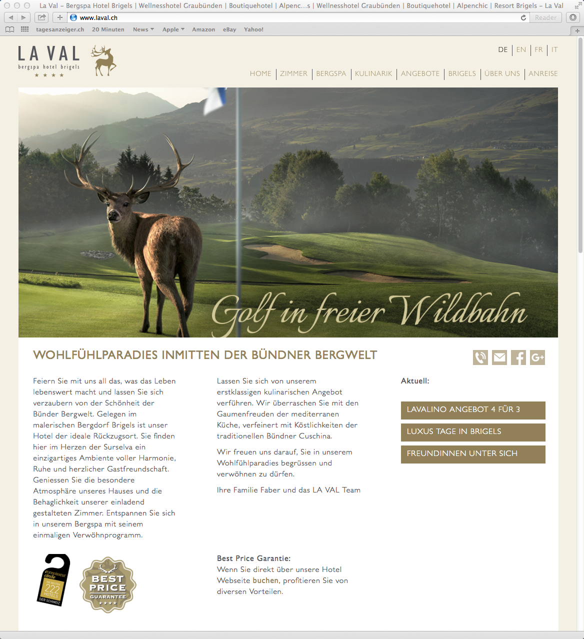 laval_website_3