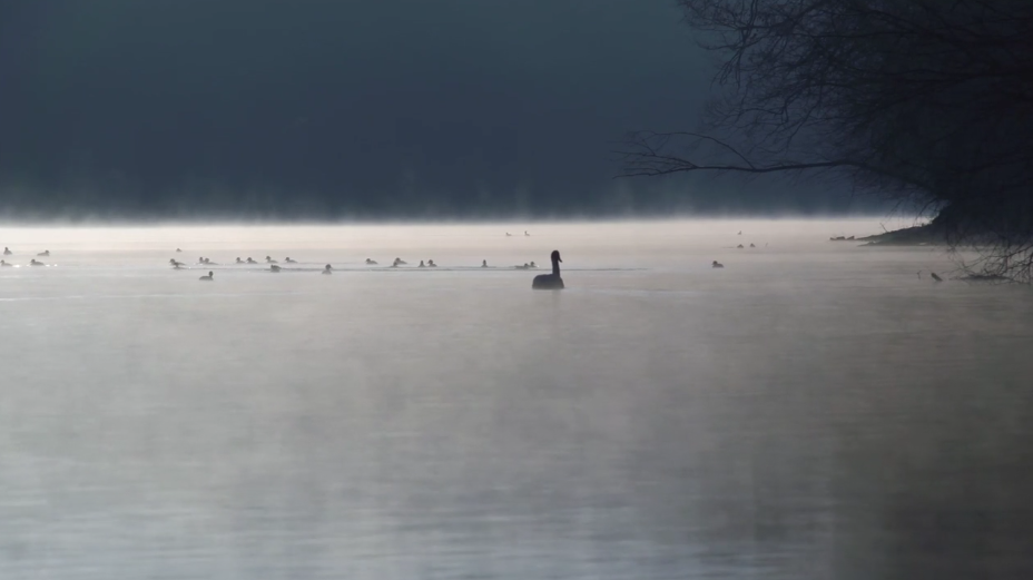 Bildschirmfoto 2016-02-22 um 15.11.55