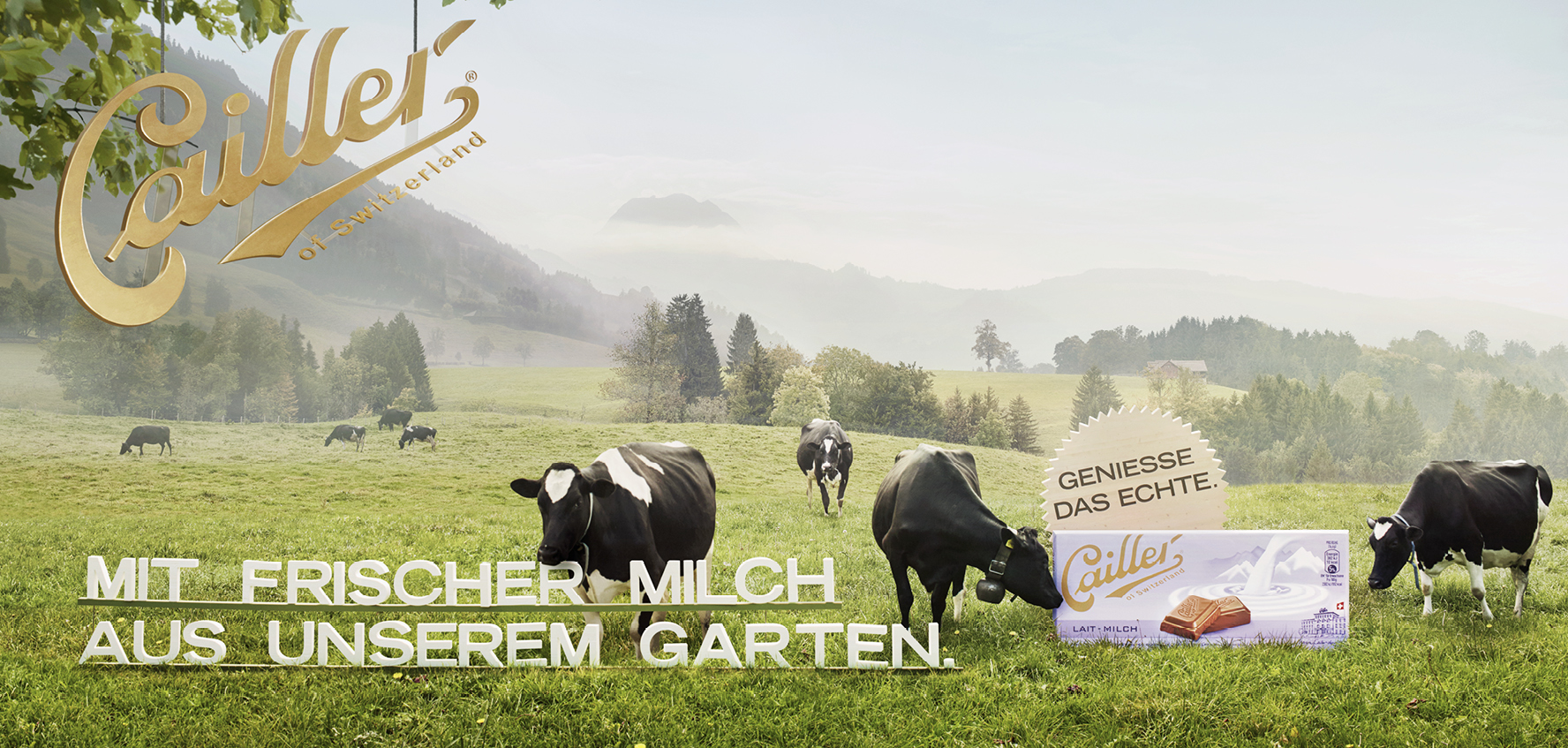 CAI_F12_Plakat